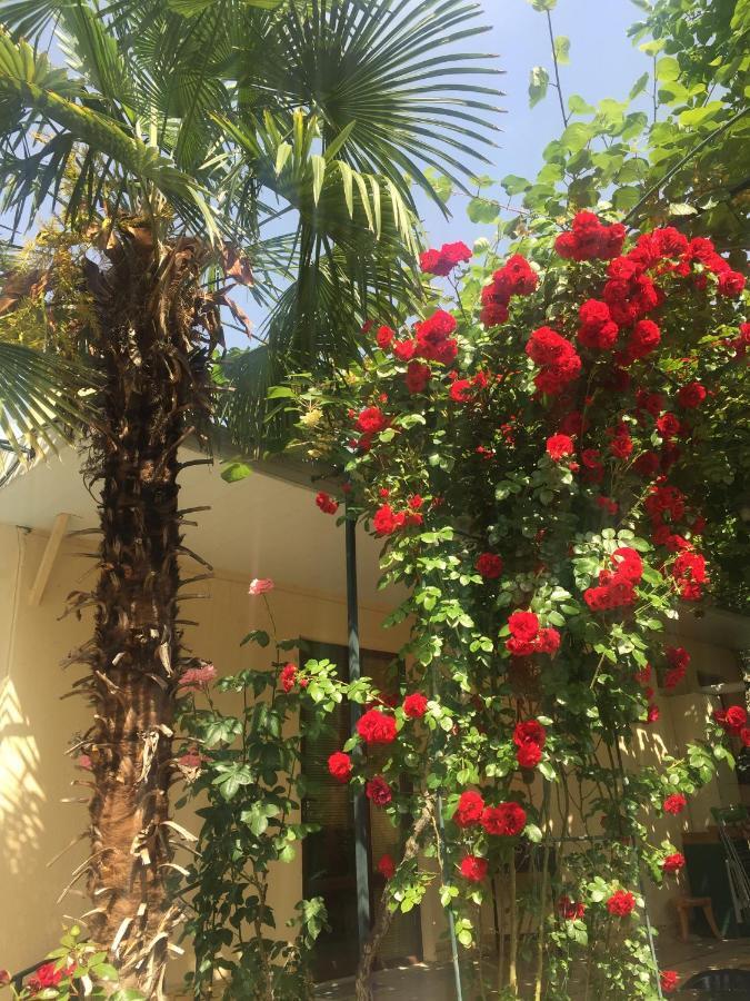 Bed and Breakfast House 41 Tbilisi Exterior foto